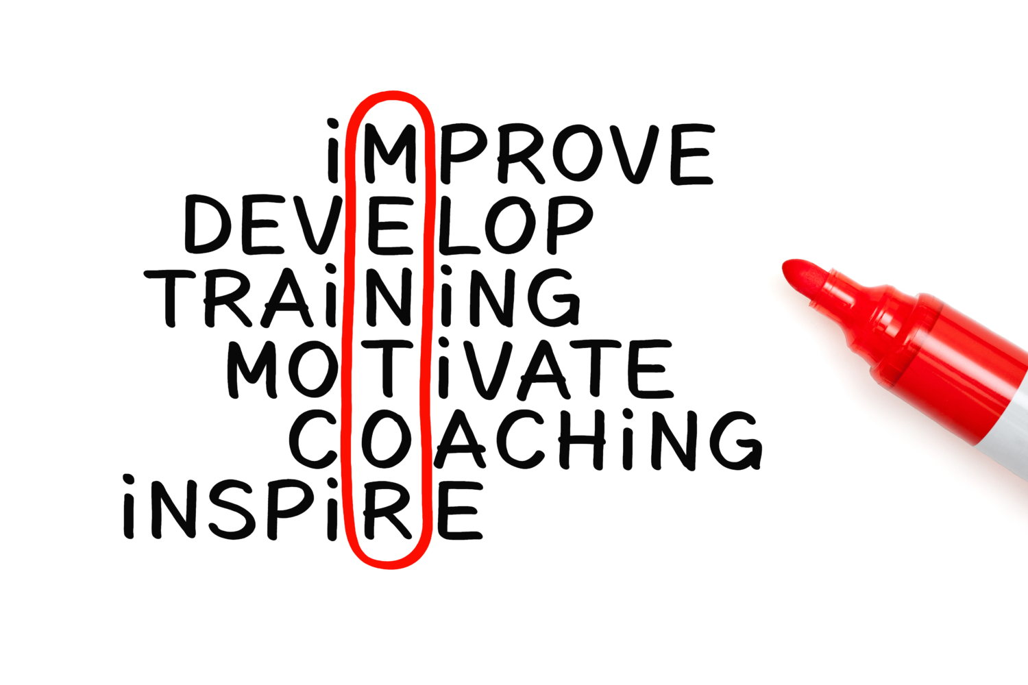 Workplace Mentoring Program At TLP TLP